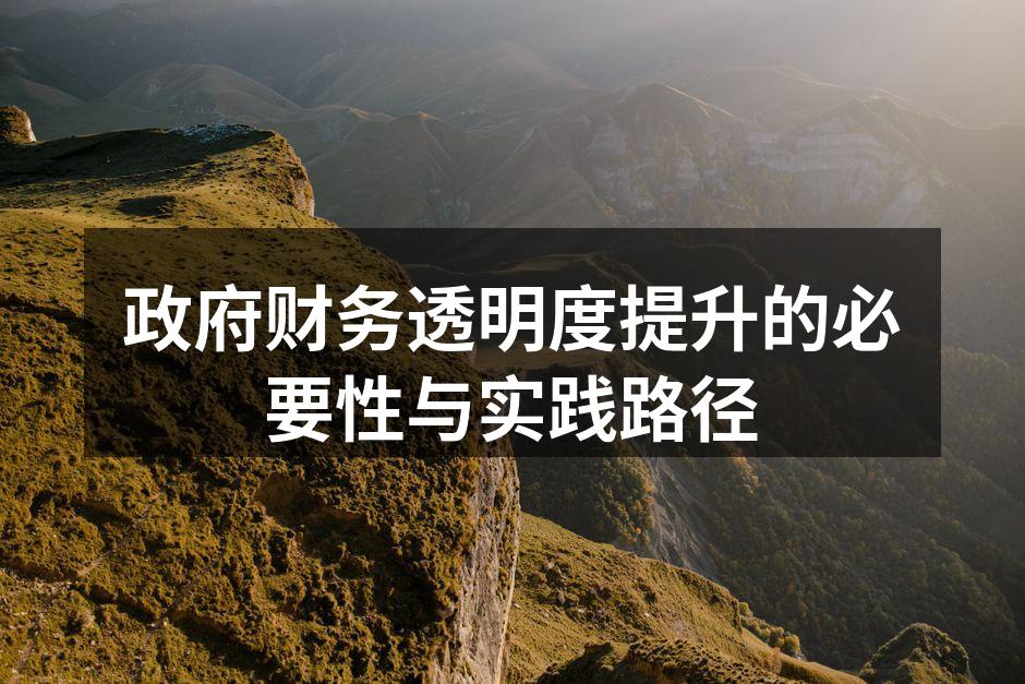 政府财务透明度提升的必要性与实践路径