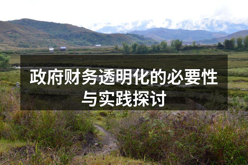 政府财务透明化的必要性与实践探讨