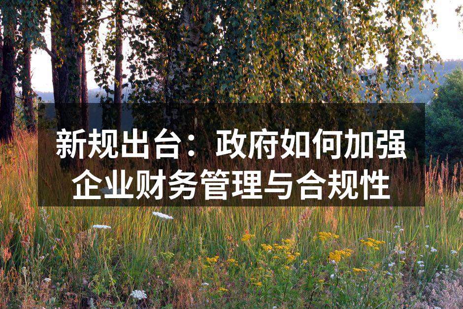 新规出台：政府如何加强企业财务管理与合规