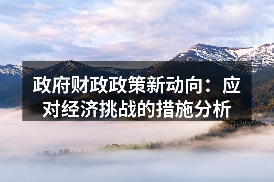 政府财政政策新动向：应对经济挑战的措施分