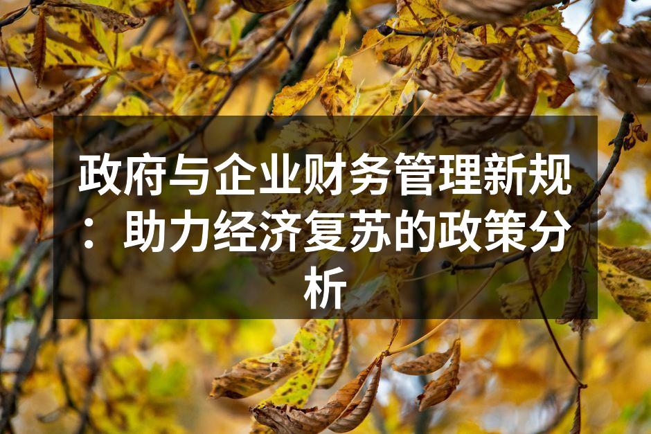 政府与企业财务管理新规：助力经济复苏的政