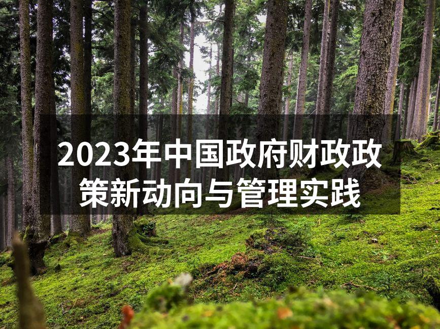 2023年中国政府财政政策新动向与管理实