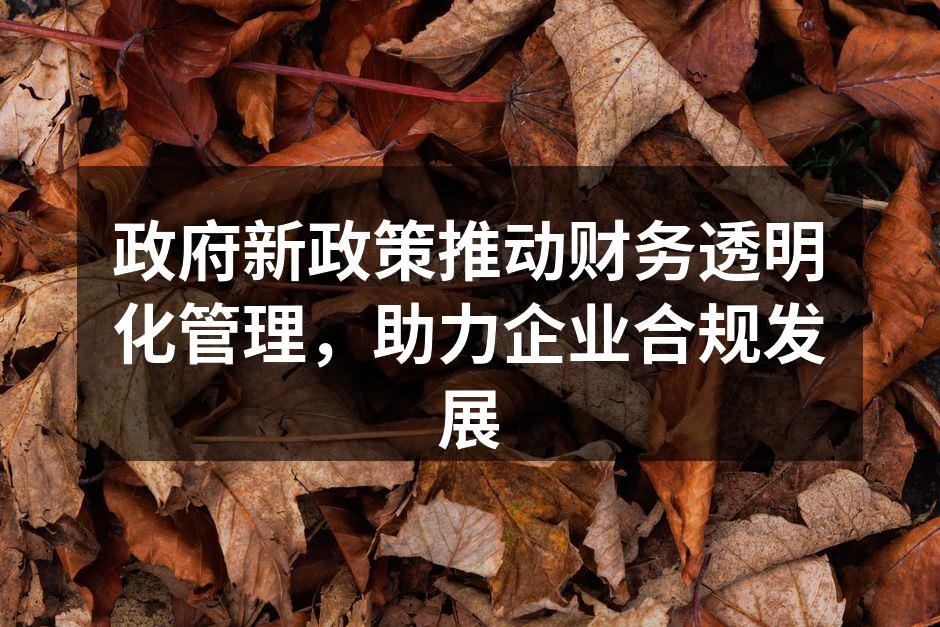 政府新政策推动财务透明化管理，助力企业合