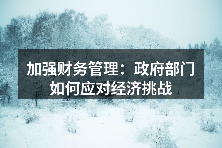 加强财务管理：政府部门如何应对经济挑战